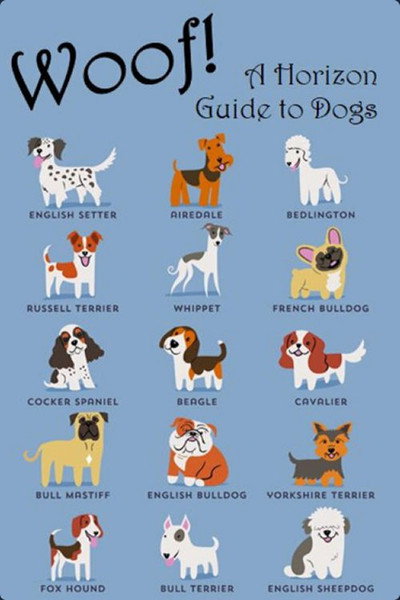 Póster de Woof! A Horizon Guide to Dogs