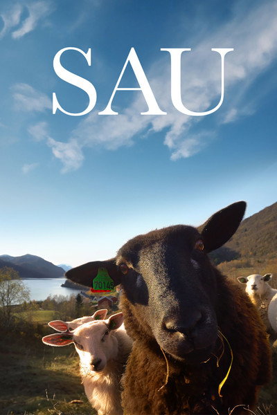 Póster de Woolly