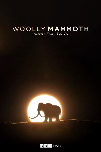Póster de Woolly Mammoth: Secrets from the Ice