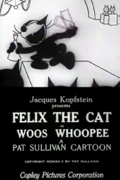 Póster de Woos Whoopee