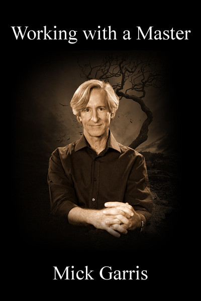 Póster de Working with a Master: Mick Garris