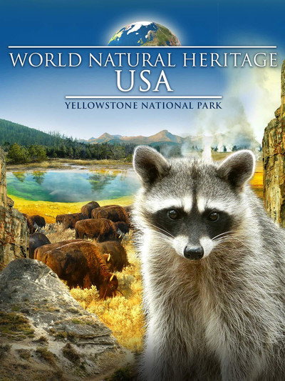 Póster de World Natural Heritage USA: Yellowstone National Park