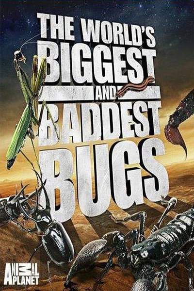 Póster de World's Biggest and Baddest Bugs