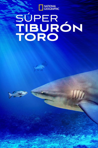 Póster de World's Biggest Bull Shark