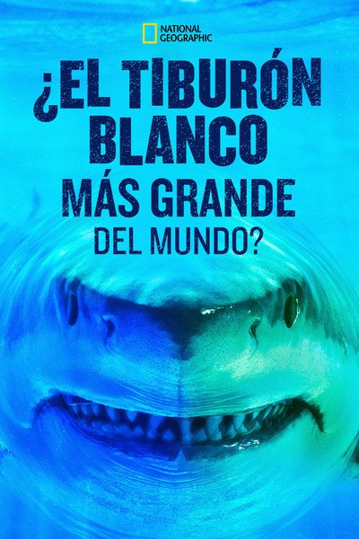 Póster de World's Biggest Great White Shark