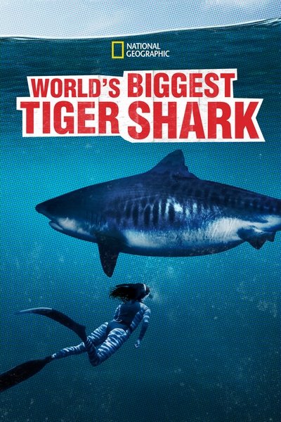 Póster de World's Biggest Tiger Shark