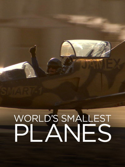 Póster de World's Smallest Planes