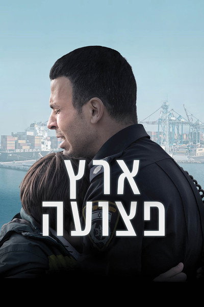 Póster de Wounded Land