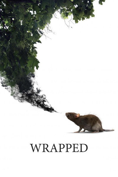 Póster de Wrapped