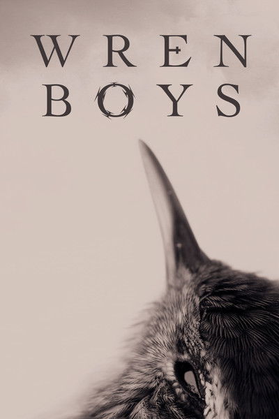 Póster de Wren Boys