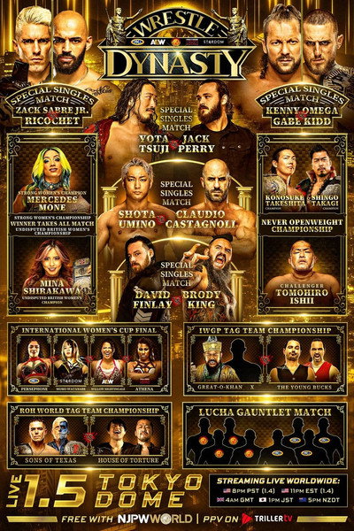 Póster de Wrestle Dynasty