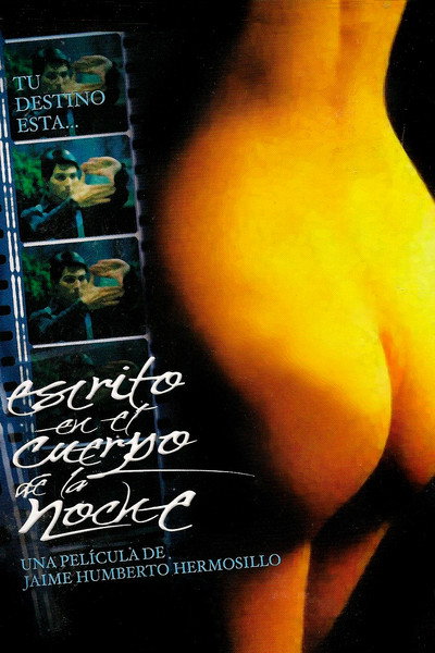 Póster de Written on the Body of Night