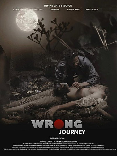 Póster de Wrong Journey