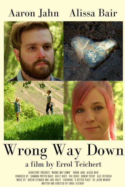 Póster de Wrong Way Down