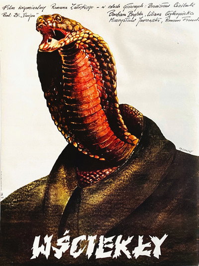 Póster de Wsciekly
