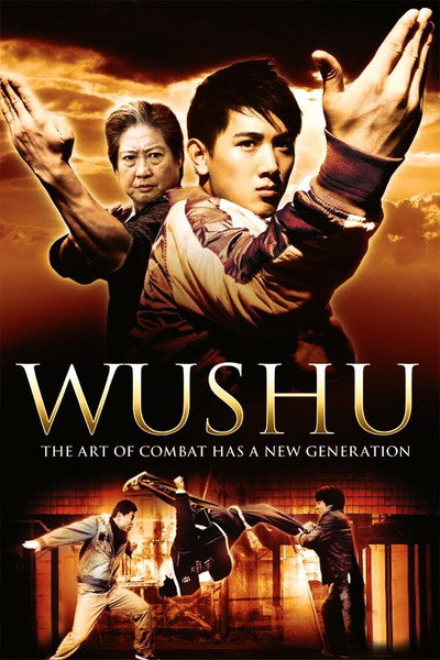 Póster de Wushu
