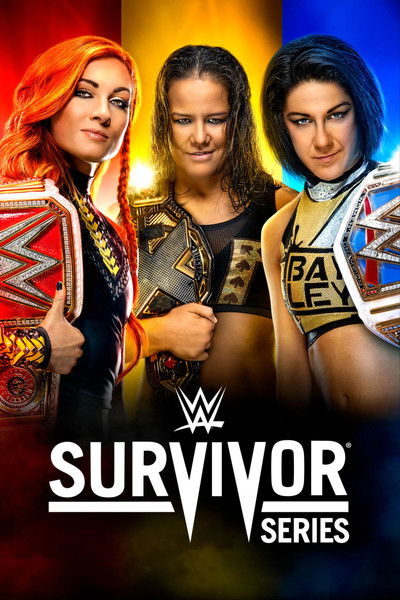 Póster de WWE Survivor Series