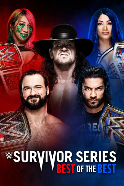 Póster de WWE Survivor Series