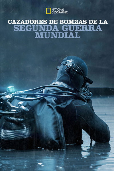 Póster de WWII Bomb Hunters