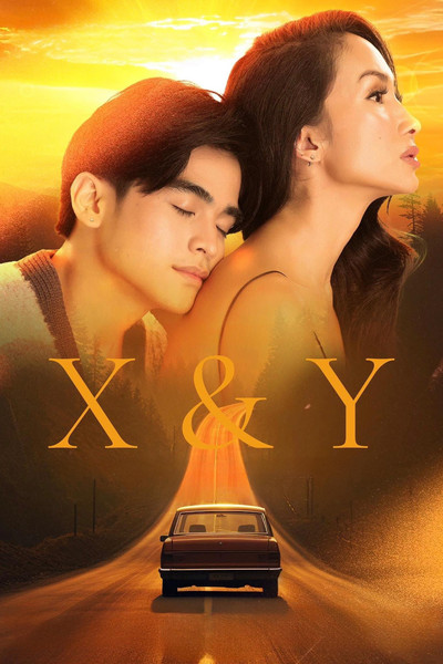 Póster de X & Y