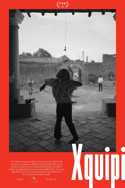 Póster de Xquipi