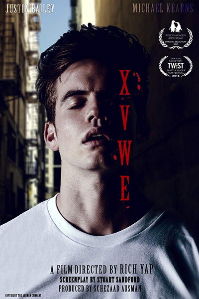 Póster de XVWE