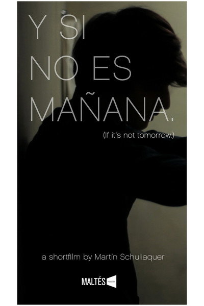 Póster de Y si no es mañana