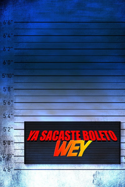 Póster de Ya sacaste boleto wey