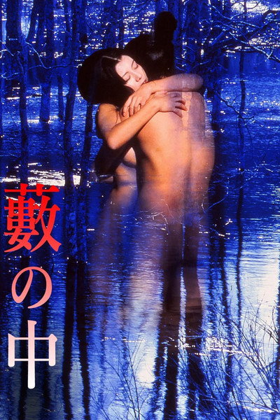 Póster de Yabu no naka