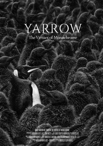 Póster de Yarrow: The Virtues of Monochrome