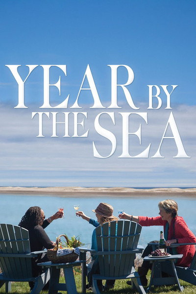 Póster de Year by the Sea