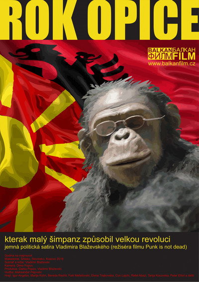 Póster de Year of the Monkey