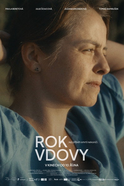 Póster de Year of the Widow