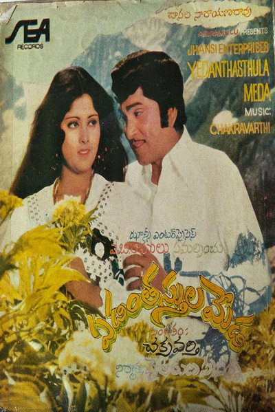 Póster de Yedanthasthula Meda