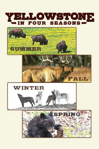 Póster de Yellowstone in Four Seasons