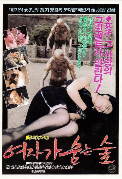 Póster de Yeojaga sumneun sup