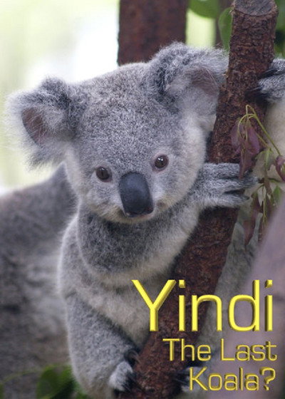 Póster de Yindi the Last Koala