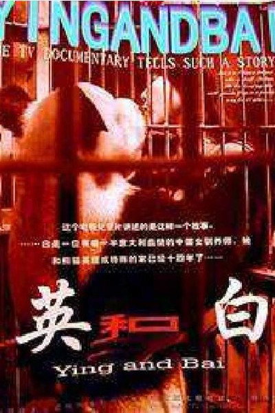 Póster de Ying and Bai