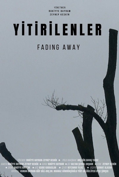 Póster de Yitirilenler
