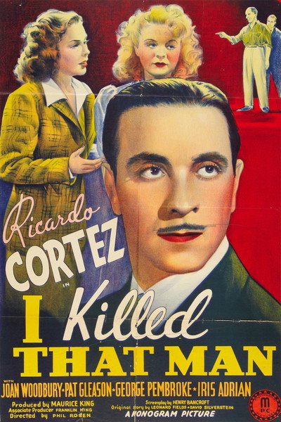 Póster de Yo le maté