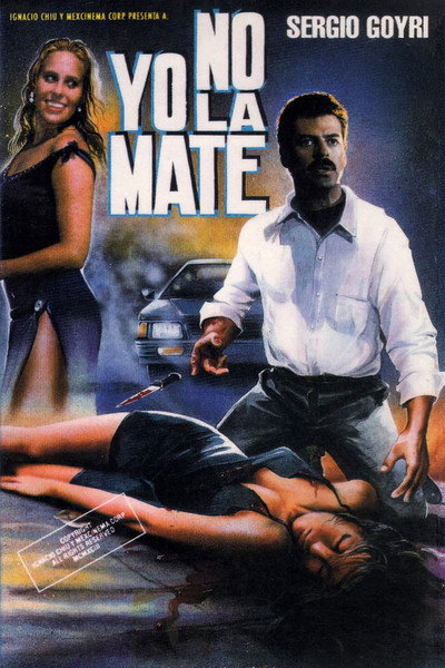 Póster de Yo no la maté