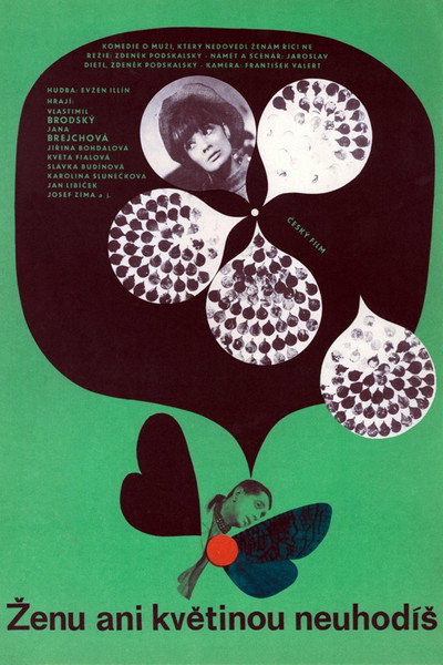 Póster de You Don't Strike a Woman Even with a Flower