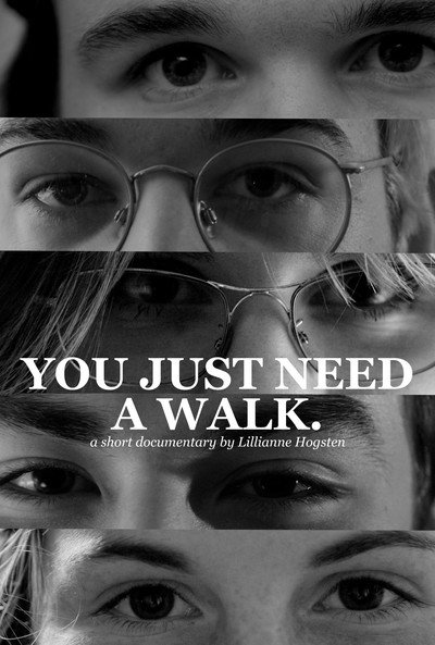 Póster de You Just Need a Walk.
