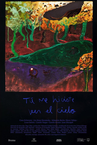 Póster de You Made Me See the Sky
