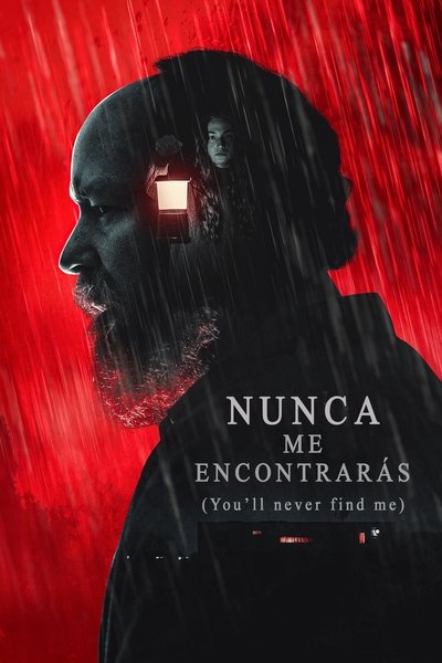 Póster de You'll never find me