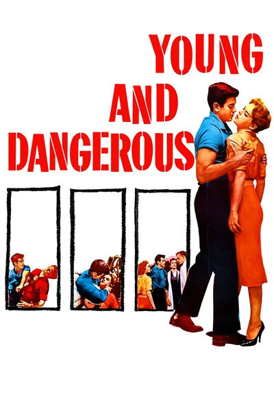 Póster de Young and Dangerous