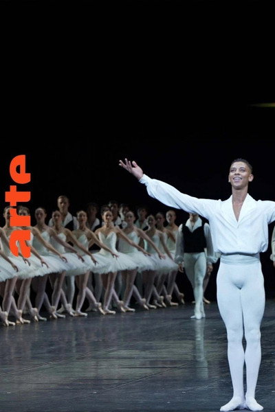 Póster de Young, Black and Gifted: Diversity at the Paris Opera