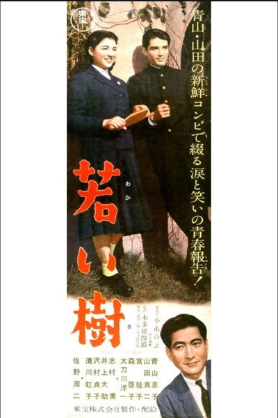 Póster de Young Tree