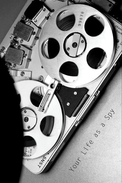 Póster de Your Life As a Spy
