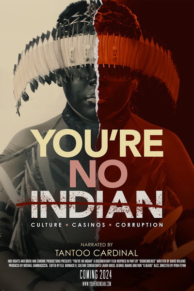 Póster de You're No Indian
